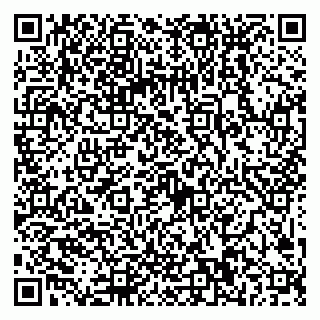 vCard 79089000317