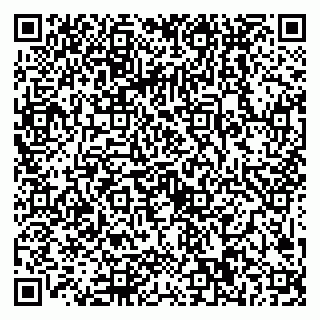 vCard 79089000327