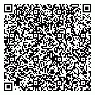 vCard 79089000381