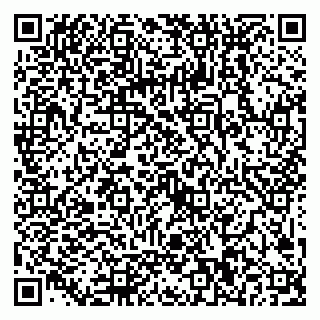 vCard 79089000393