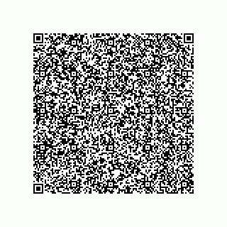 vCard 79091000033