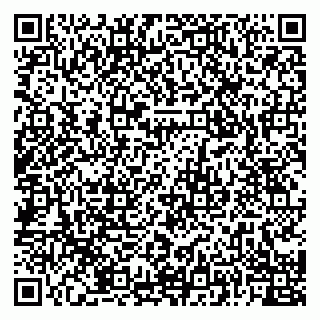 vCard 79091000040