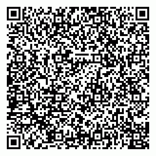 vCard 79091000041