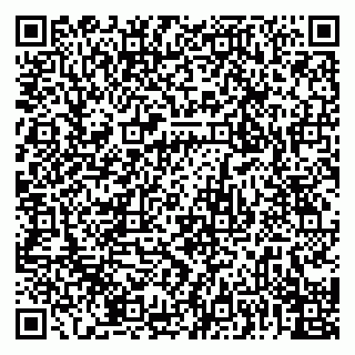 vCard 79091000163
