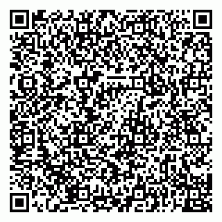 vCard 79091000271