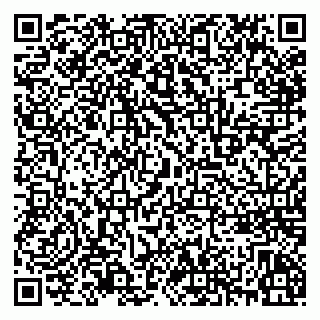 vCard 79091000335