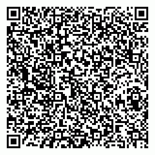 vCard 79091700003