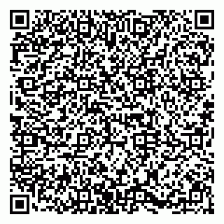 vCard 79091700015