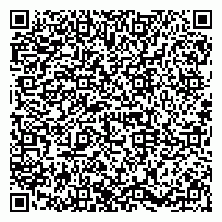 vCard 79091700037