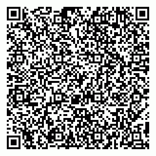vCard 79091700041