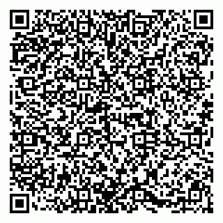 vCard 79091700053