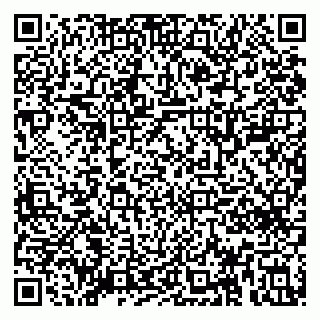 vCard 79091700059