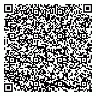 vCard 79091700065