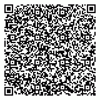 vCard 79091700093