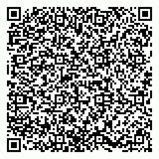 vCard 79091700138
