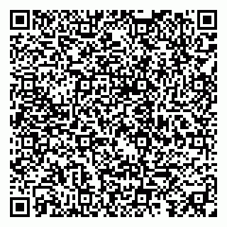 vCard 79091700171