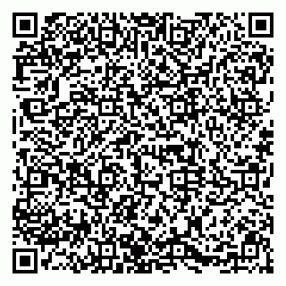 vCard 79091700253