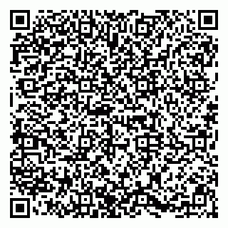 vCard 79091700271