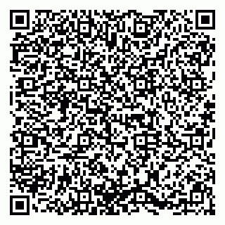 vCard 79091700273