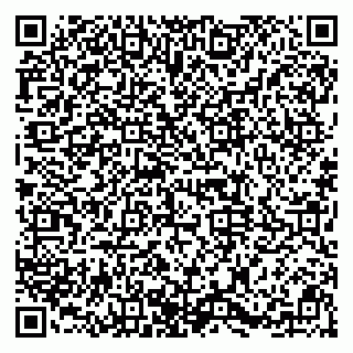 vCard 79091700300