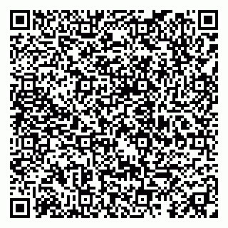 vCard 79091700308