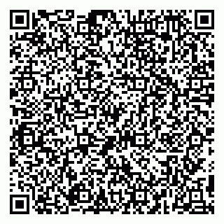 vCard 79091700318