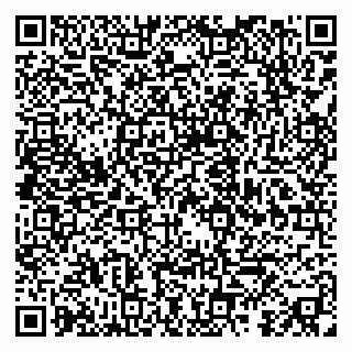 vCard 79091700351