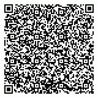 vCard 79091700378