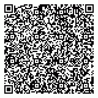 vCard 79091700381