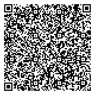 vCard 79095000039