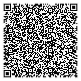 vCard 79095080279