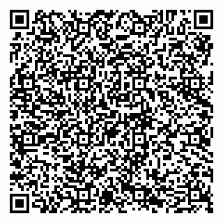 vCard 79095080384