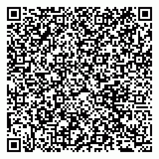 vCard 79095080388
