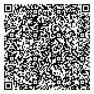 vCard 79095230002