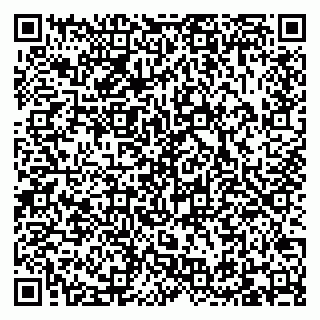 vCard 79095230013
