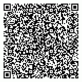vCard 79095230208