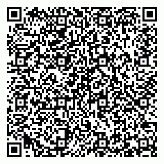 vCard 79095230272