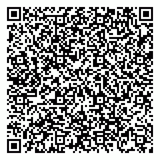vCard 79095230299