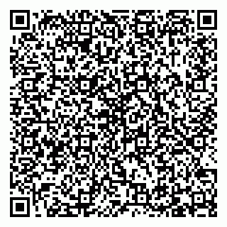 vCard 79095230334