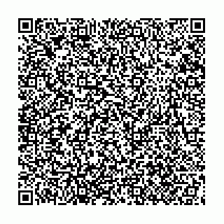 vCard 79095480161