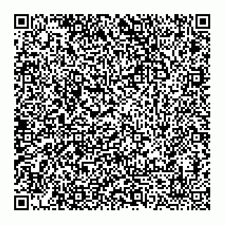 vCard 79095757373