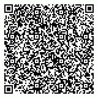 vCard 79097000413