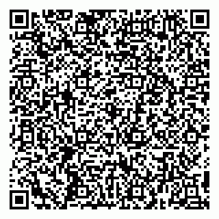 vCard 79099000294