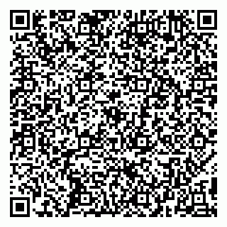 vCard 79099000881