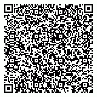 vCard 79100000173