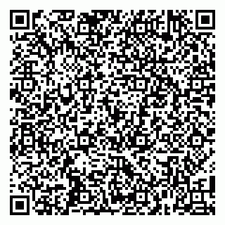 vCard 79100000493