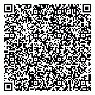 vCard 79100000739