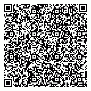 vCard 79100000994