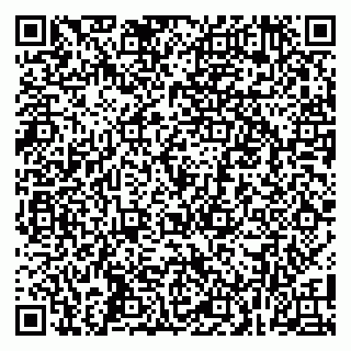 vCard 79100002011