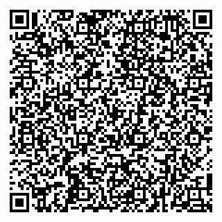 vCard 79100002128